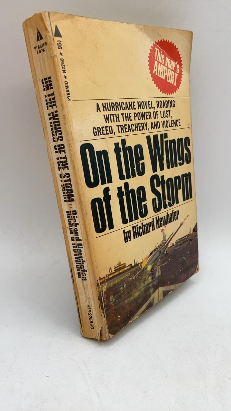 On the Wings of the Storm by Richard Newhafer - front cover
