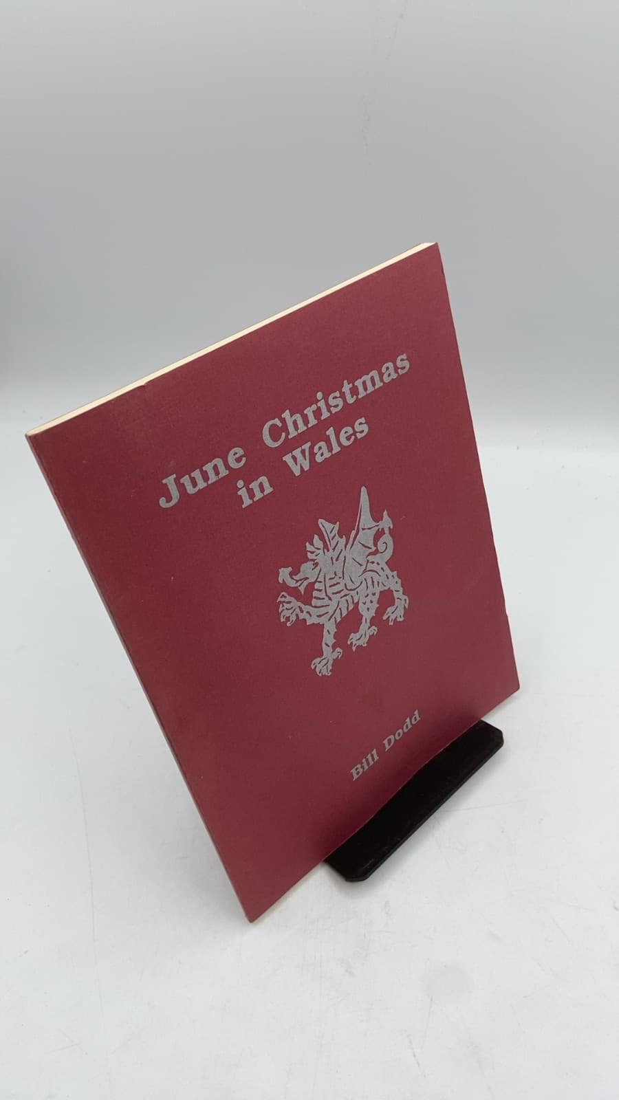 June Christmas in Wales by Bill Dodd - front cover