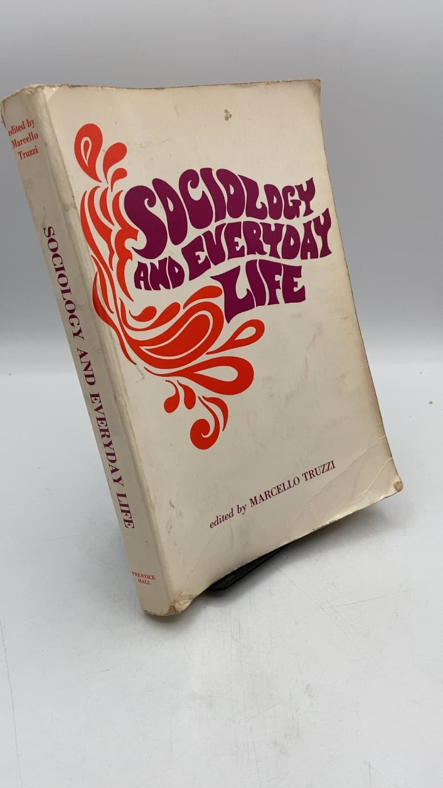 Sociology and Everyday Life by Marcello Truzzi - front cover