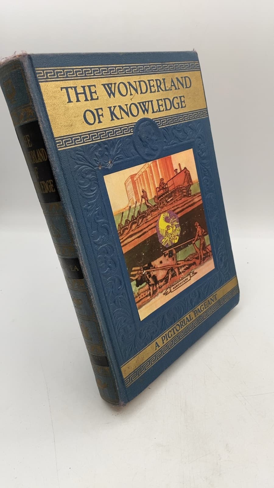  Vol. 9 The Wonderland of Knowledge by Lorimer V. Cavins, Ph.D. - front cover