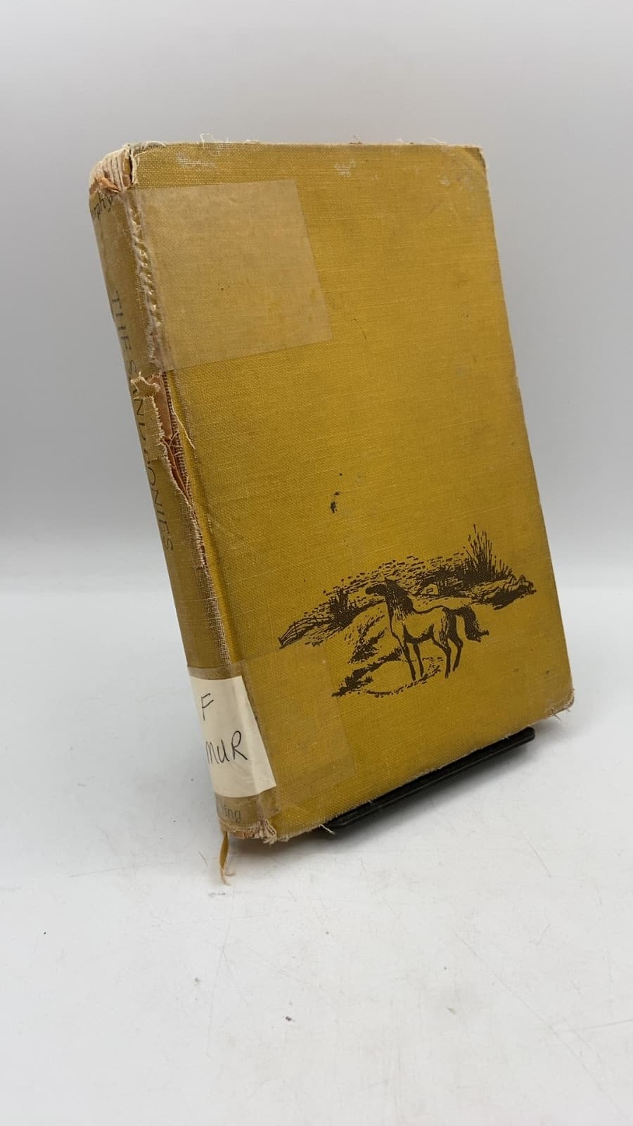 The Sand Ponies by Shirley Rousseau Murphy - front cover