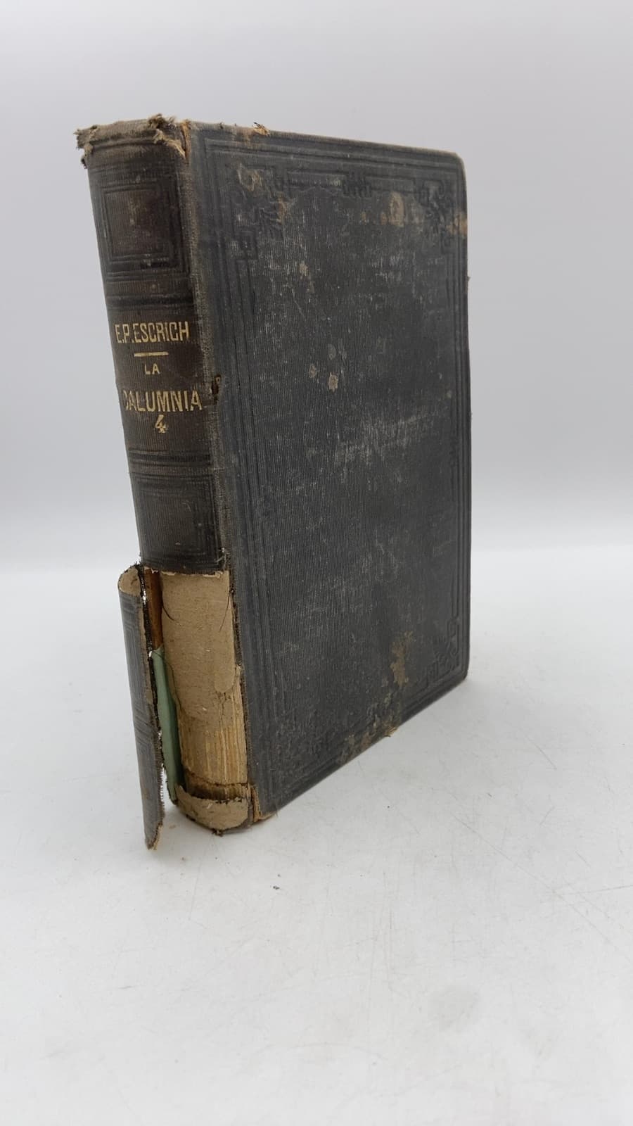 La Calumnia (Páginas de la Desgracia) by Enrique Perez Escrich - front cover