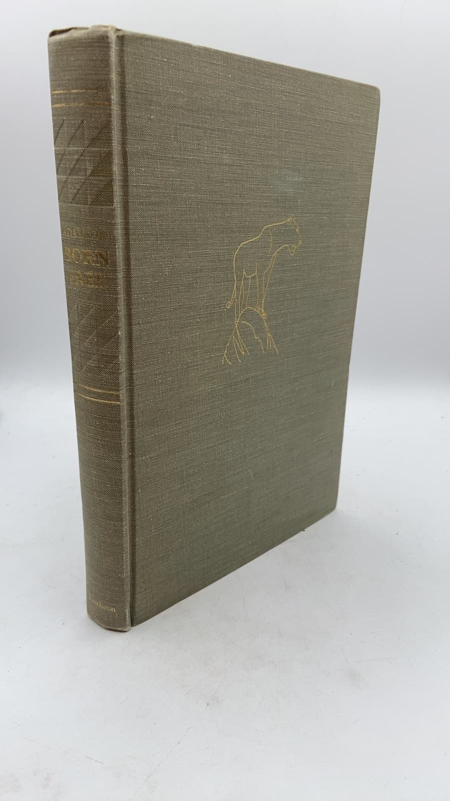 Born Free: A Lioness of Two Worlds by Joy Adamson - front cover