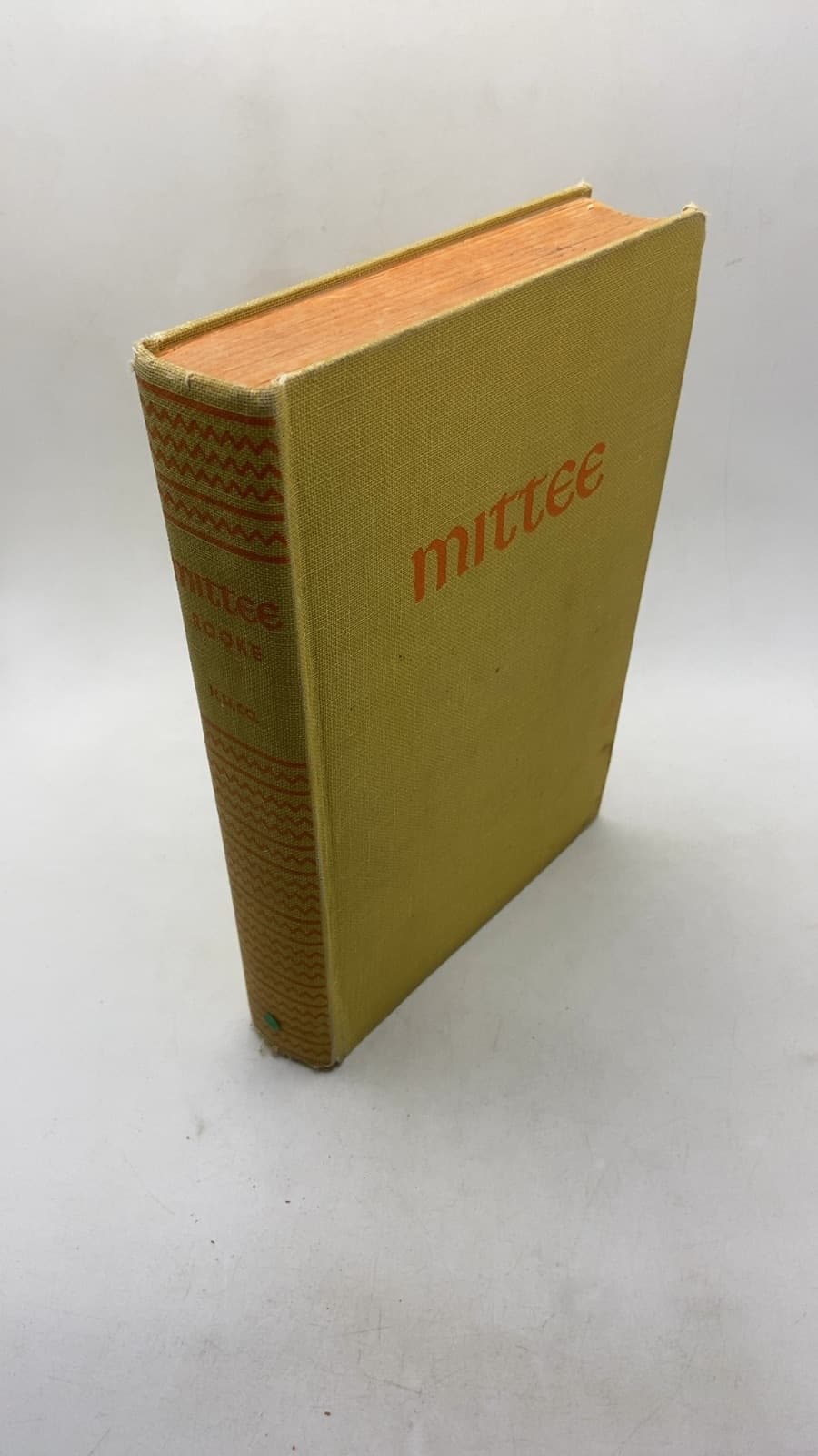 Mittee by Daphne Rooke - front cover
