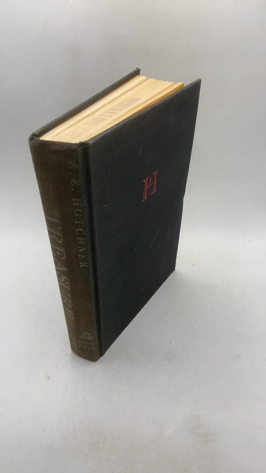 Treasure by A. E. Hotchner - front cover