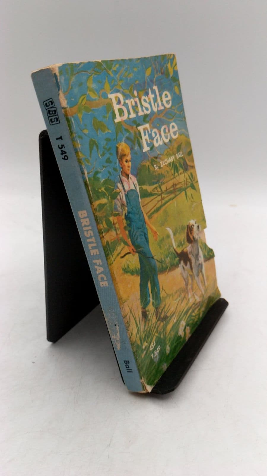 Bristle Face by Zachary Ball - front cover
