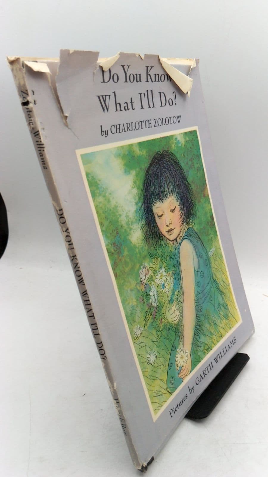 Do You Know What I'll Do? by Charlotte Zolotow - front cover