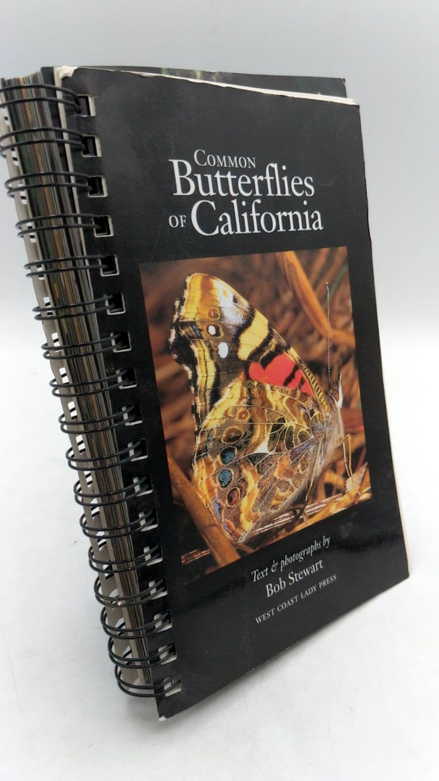 Common Butterflies of California by Bob Stewart - front cover