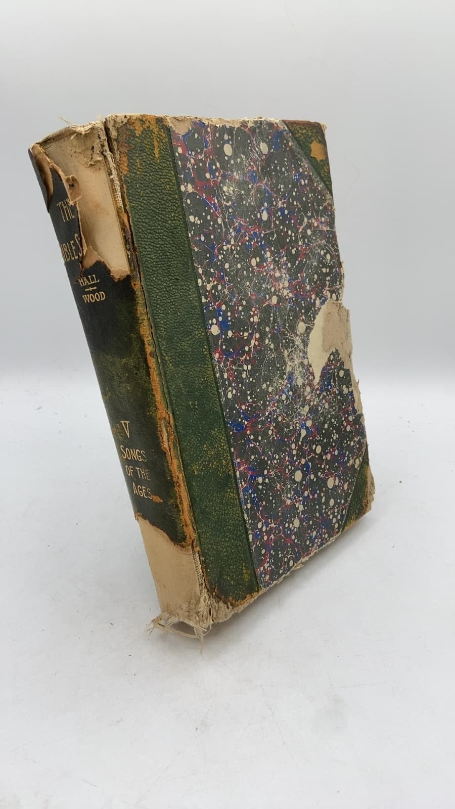The Bible Story: Volume Five Songs of the Ages by Rev. Newton Marshall Hall, A.M. and Rev. Irving Francis Wood, Ph.D. - front cover