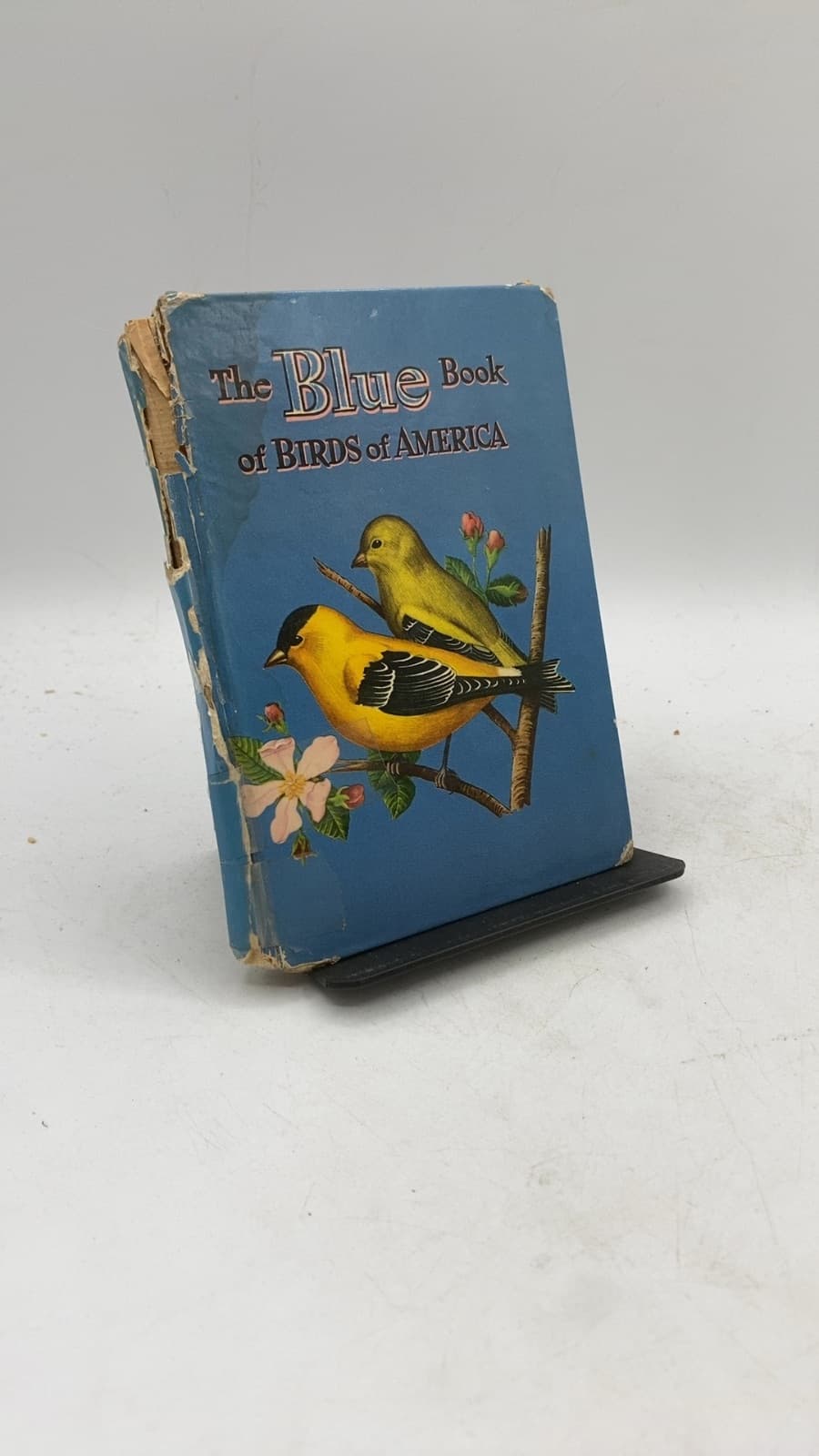 The Blue Book of Birds of America by Frank G. Ashbrook - front cover