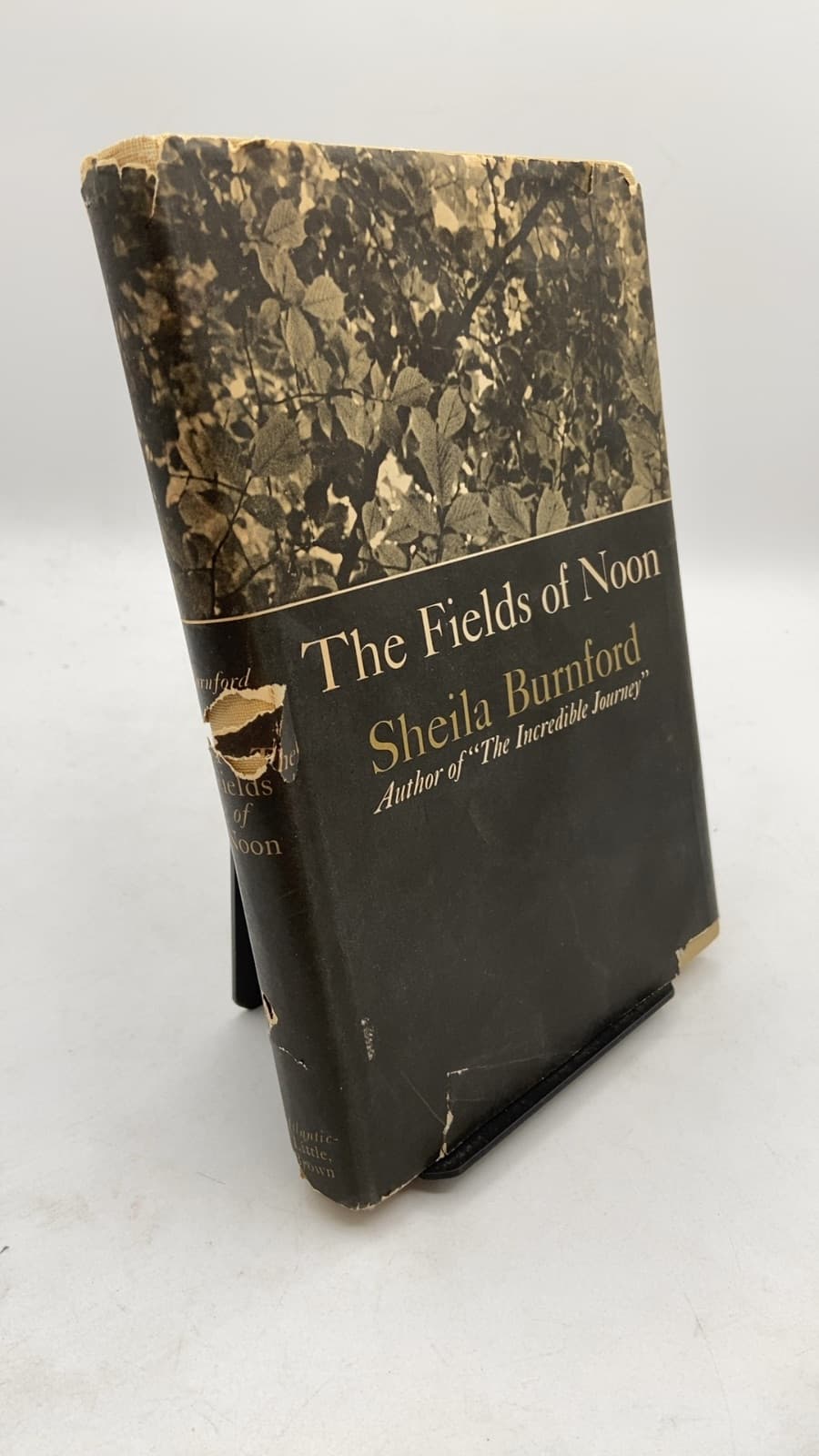 The Fields of Noon by Sheila Burnford - front cover
