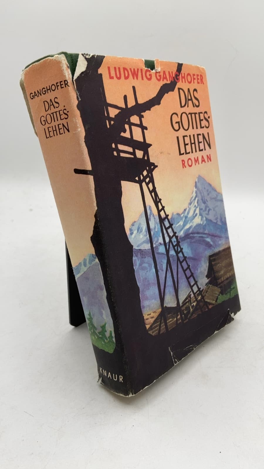 Das Gotteslehen by Ludwig Ganghofer - front cover