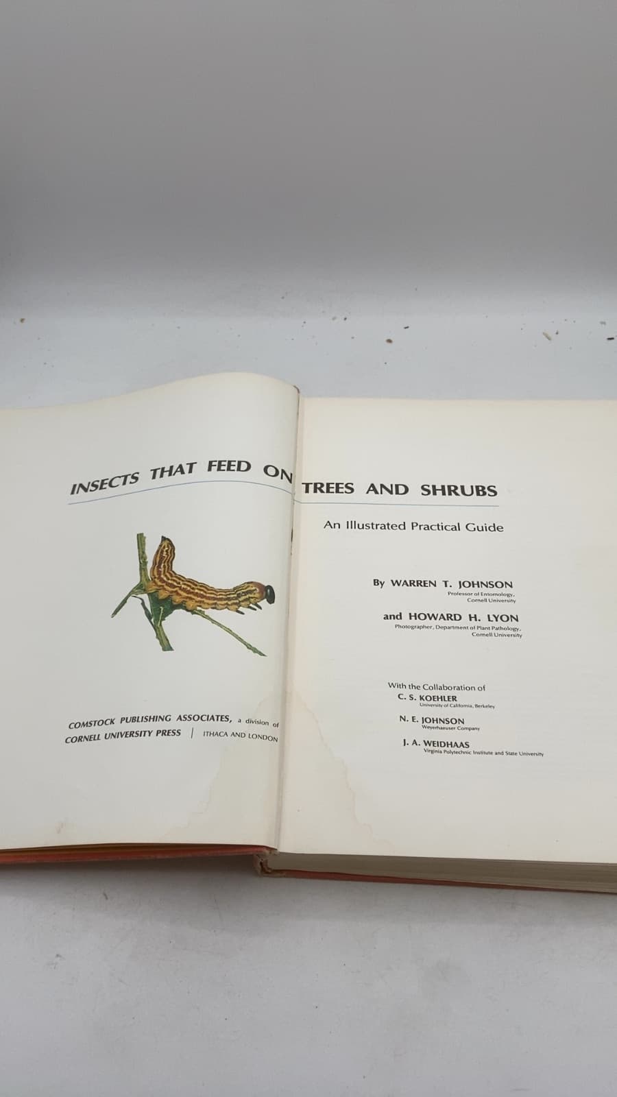 Insects That Feed on Trees and Shrubs by Warren T. Johnson and Howard H. Lyon - title page