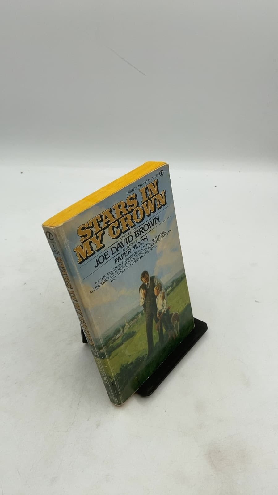 Stars in My Crown by Joe David Brown - front cover