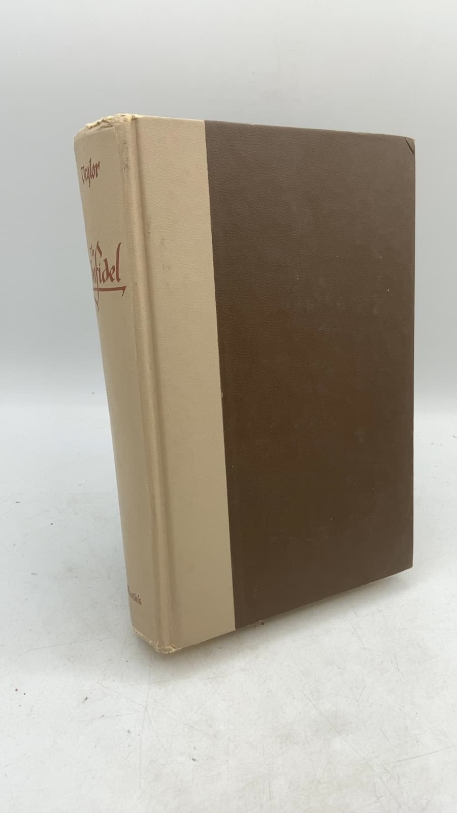 The Infidel by Georgia Elizabeth Taylor - front cover