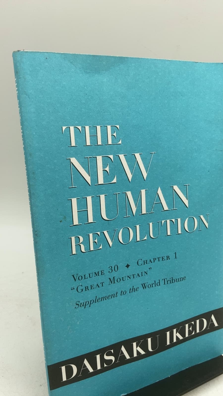 THE NEW Human Revolution Volume 30 by Daisaku Ikeda - front cover