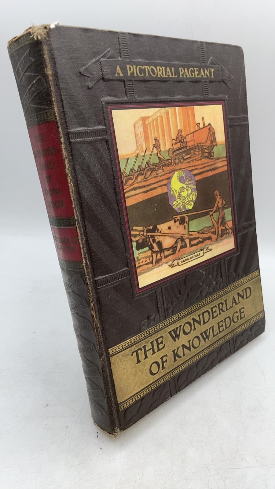 THE Wonderland OF Knowledge Vol. IX - front cover