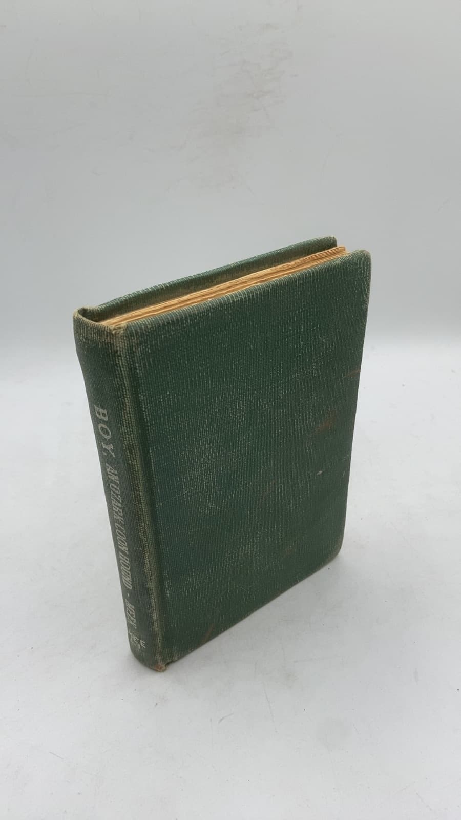 BOY An Ozark Coon Hound by Colonel S. P. Meek - front cover