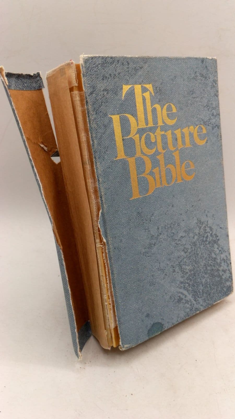 The Picture Bible - front cover