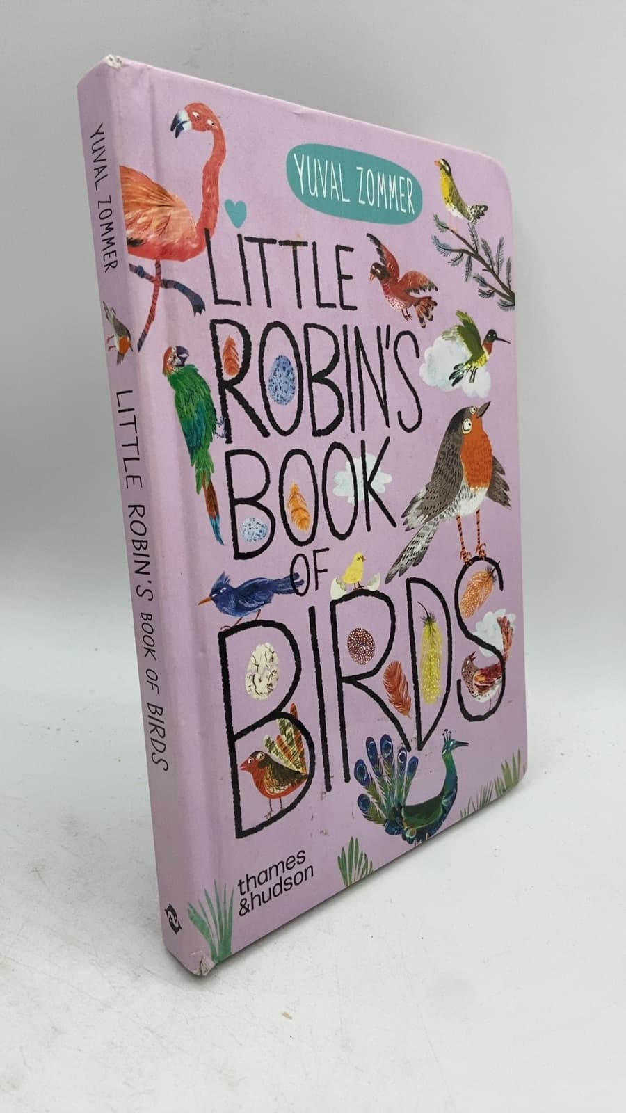 Little Robin's Book of Birds by Yuval Zommer - front cover