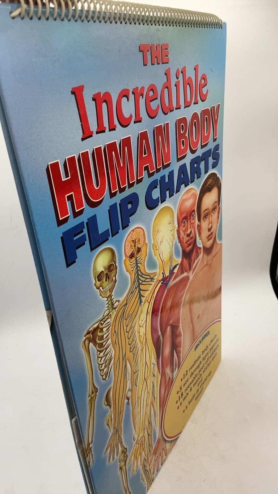 The Incredible Human Body Flip Charts - front cover