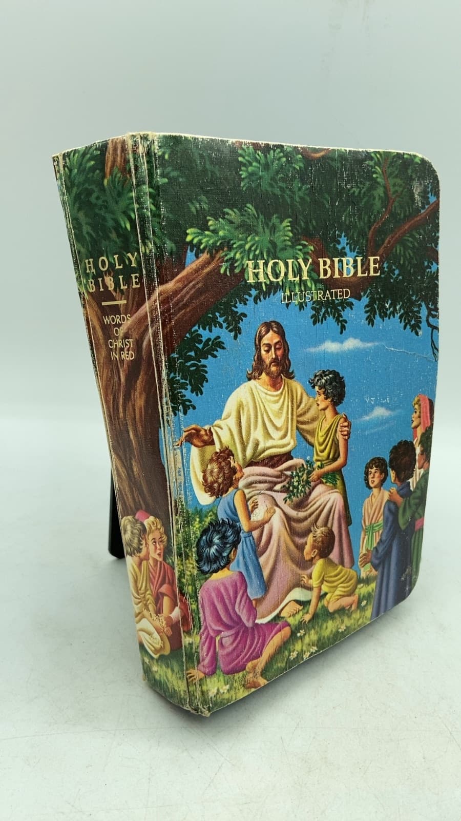 Holy Bible Illustrated - front cover