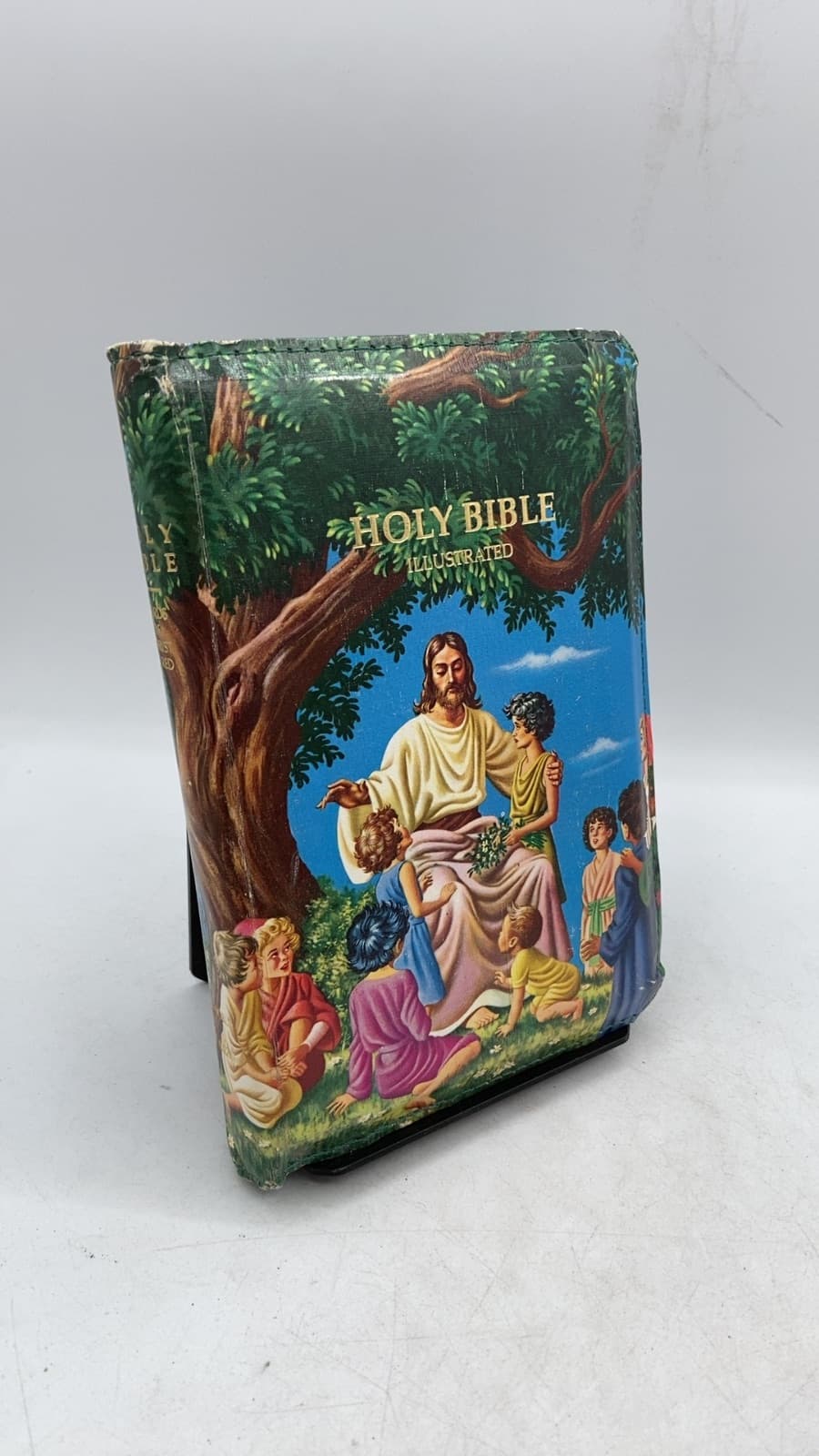 Holy Bible Illustrated by Dr. Charles C. Ryrie (Introduction) - front cover