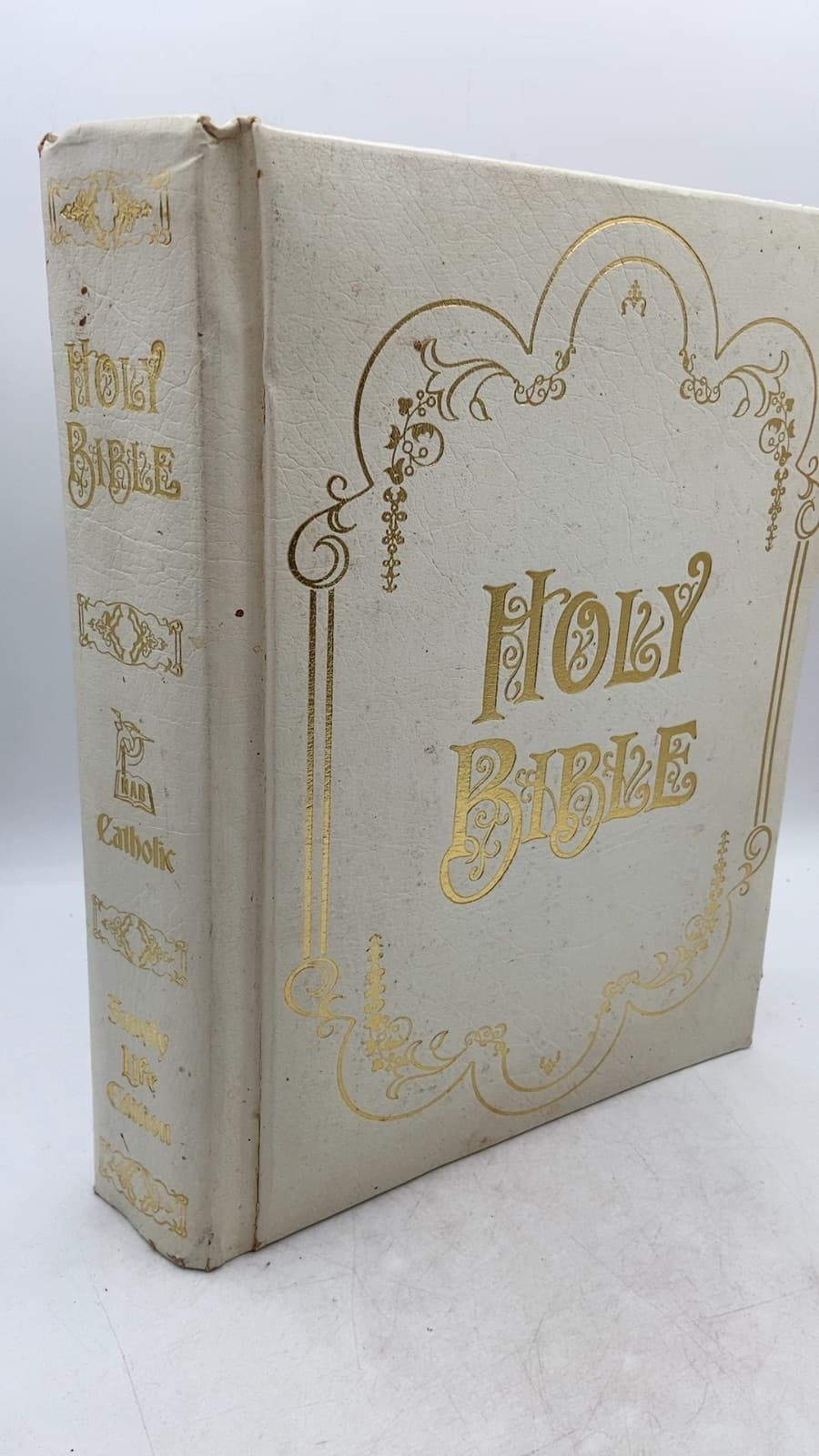 The New American Bible - front cover