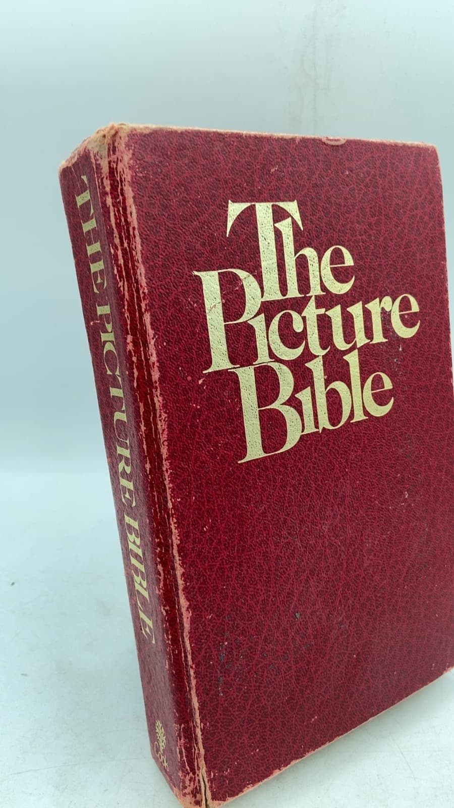 The Picture Bible by Iva Hoth - front cover