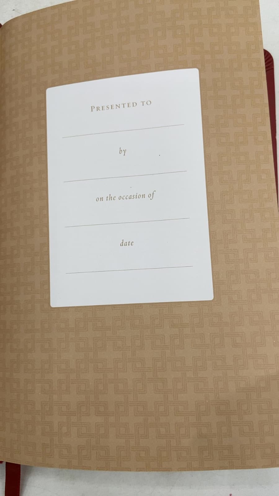 Holy Bible: Slimline Edition - additional view