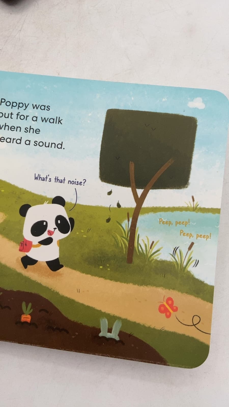 Poppy's Duck Chase - title page