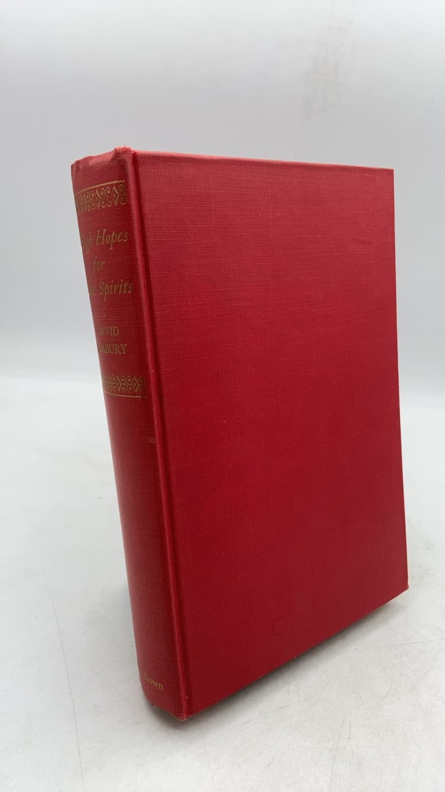High Hopes for Low Spirits by David Seabury - front cover