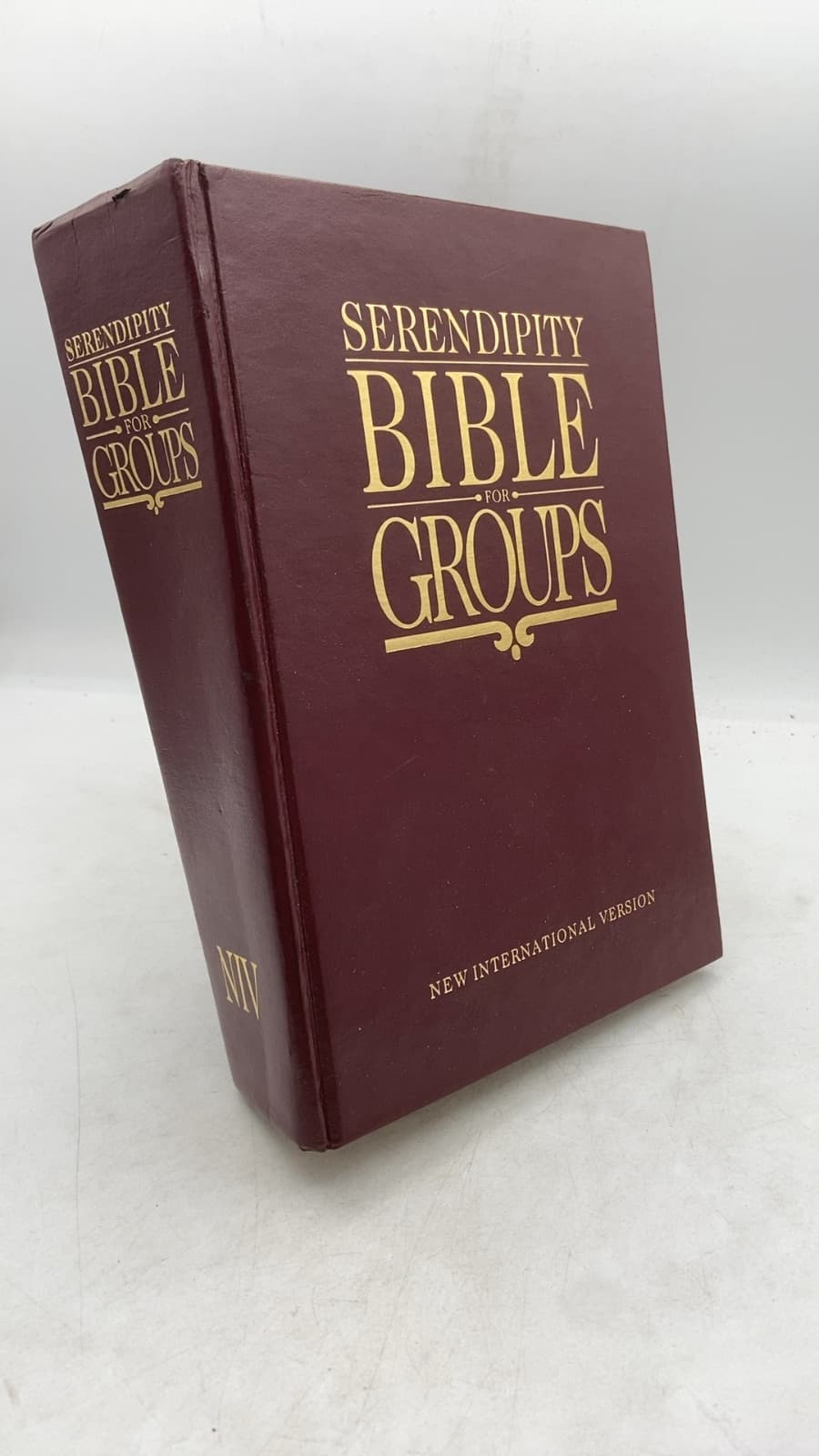 Serendipity Bible for Groups - front cover