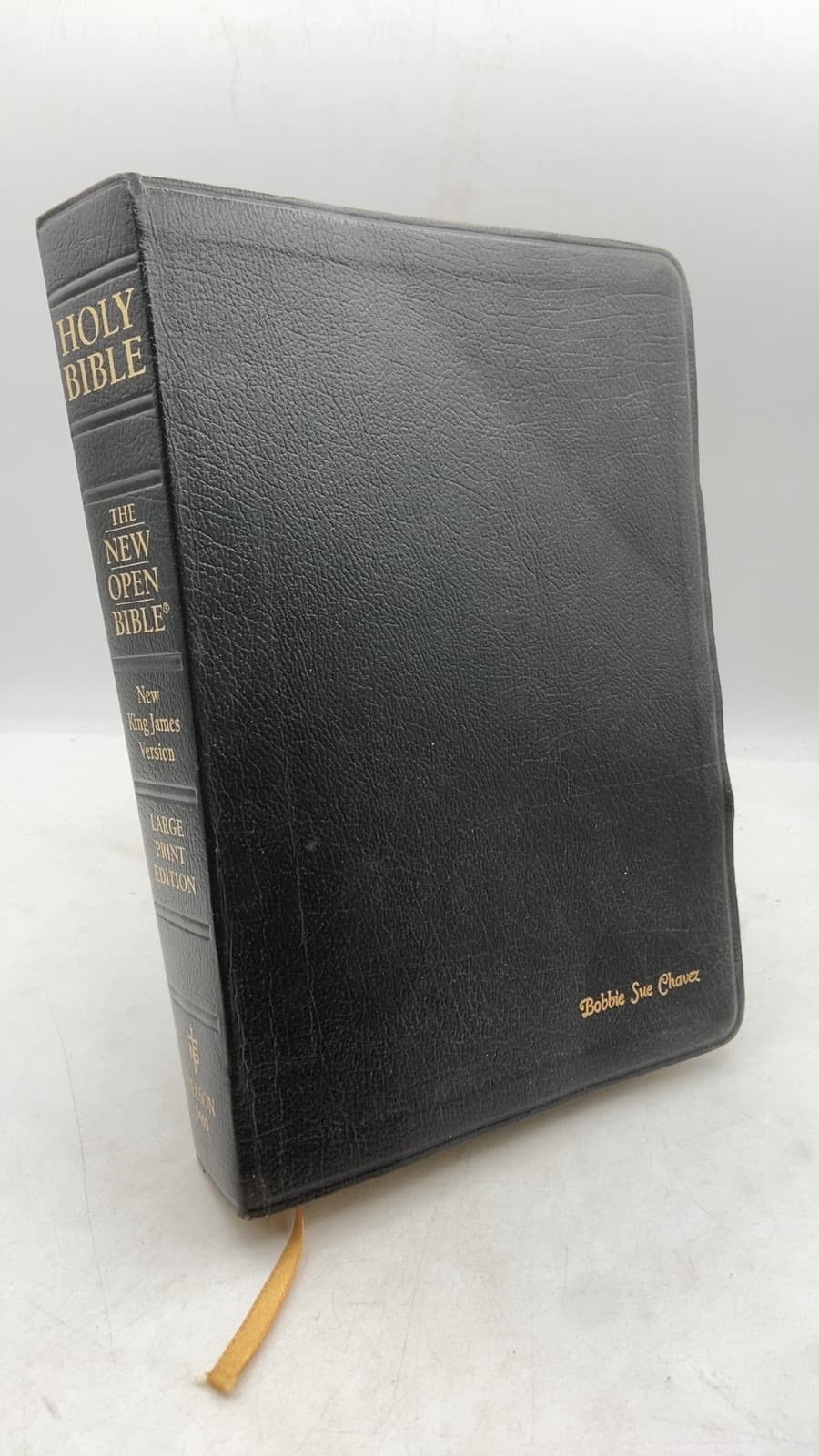 Holy Bible: The New Open Bible - front cover