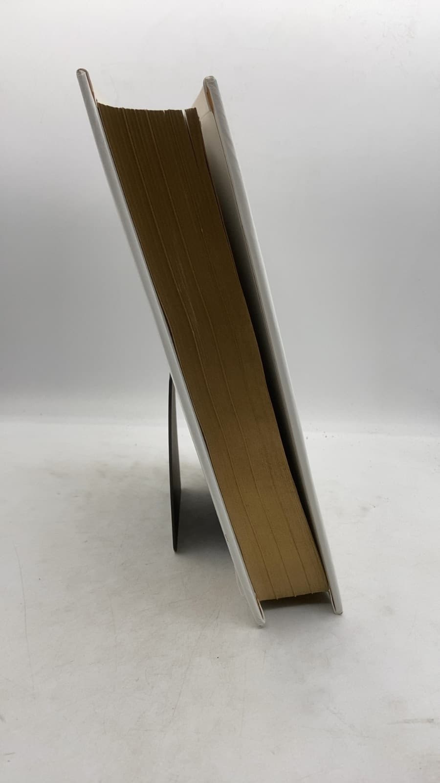 Holy Bible: Authorized or King James Version - quarter view showing binding condition