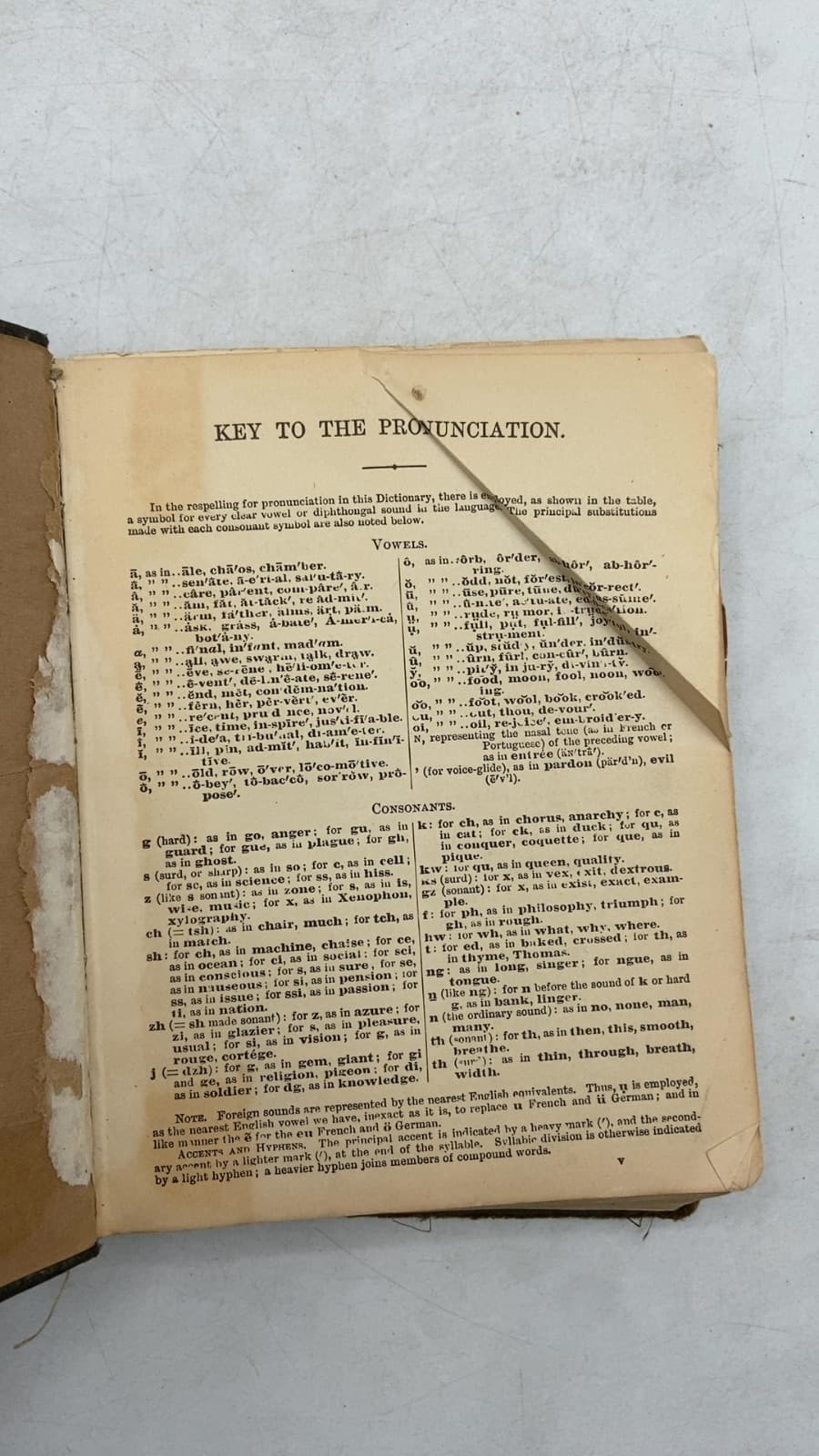 Webster's Common School Dictionary by Noah Webster - title page