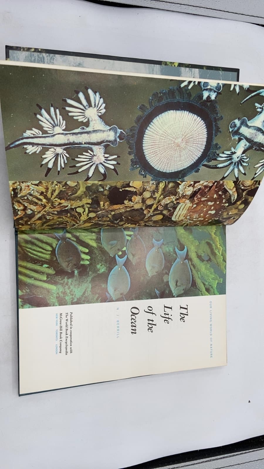 The Life of the Ocean by N. J. Berrill - title page