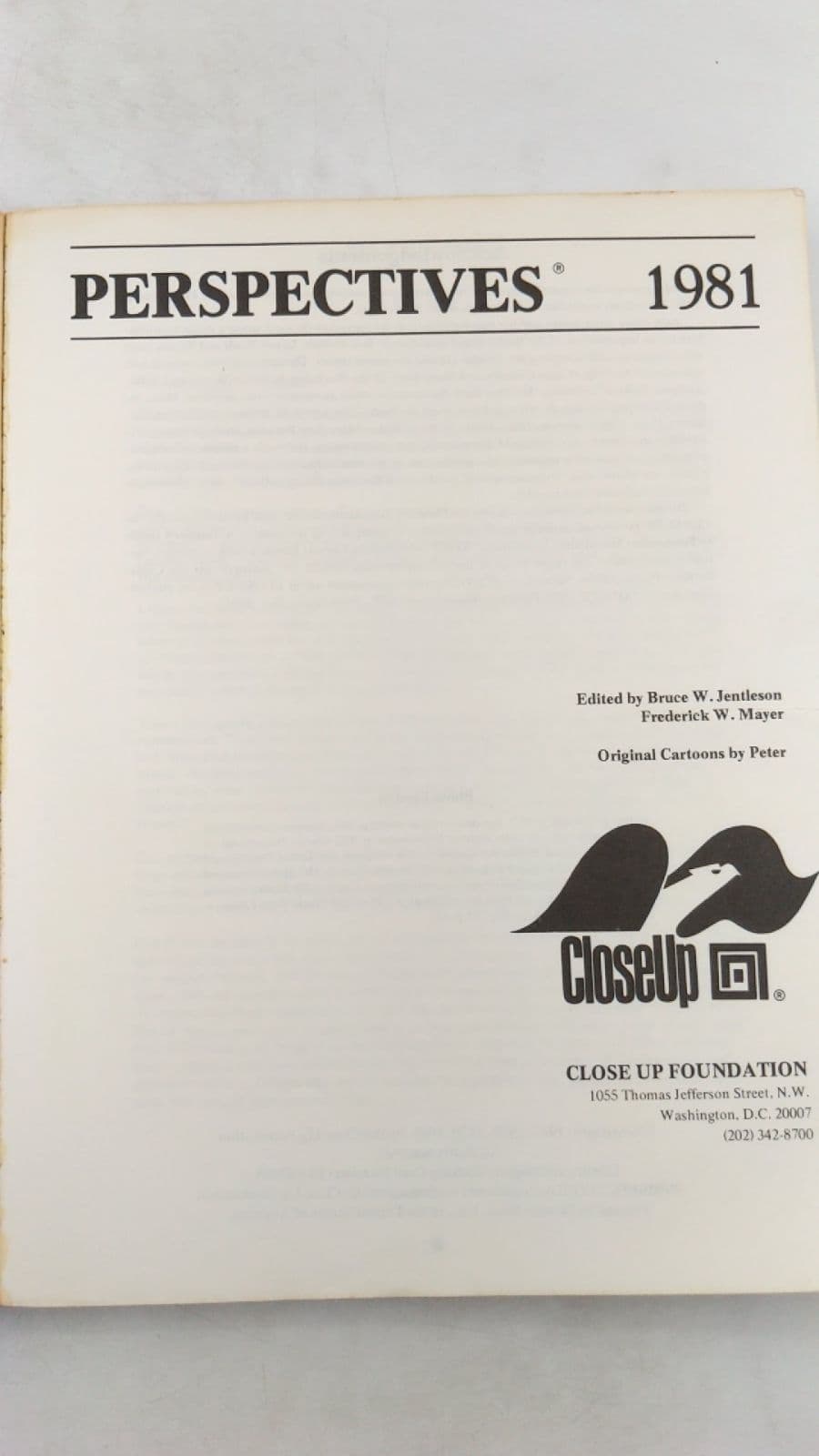 Perspectives 1981 by Bruce W. Jentleson, Frederick W. Mayer - title page