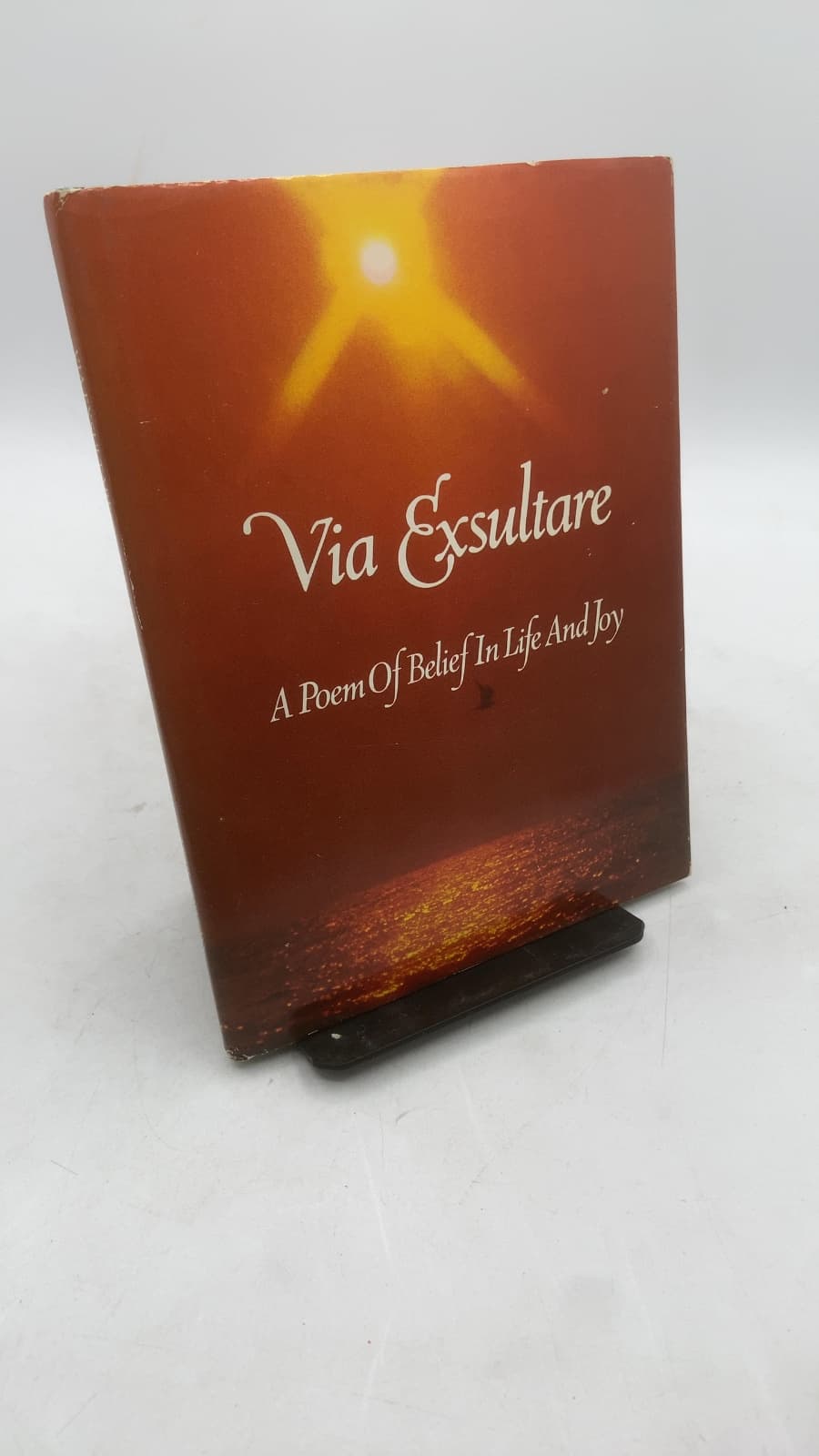 Via Exsultare: A Poem Of Belief In Life And Joy by Dean Walley - front cover