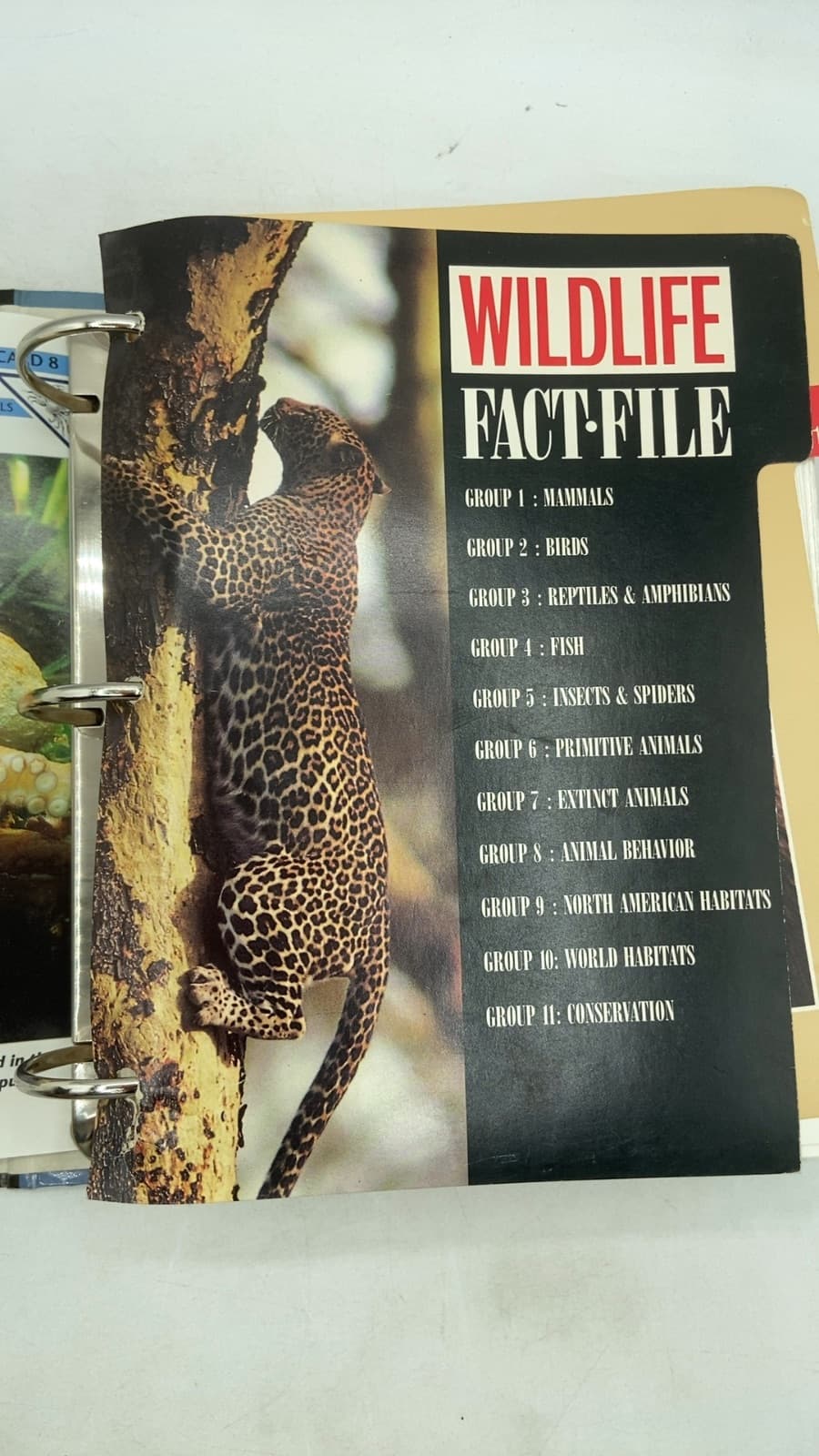Wildlife Fact File - title page
