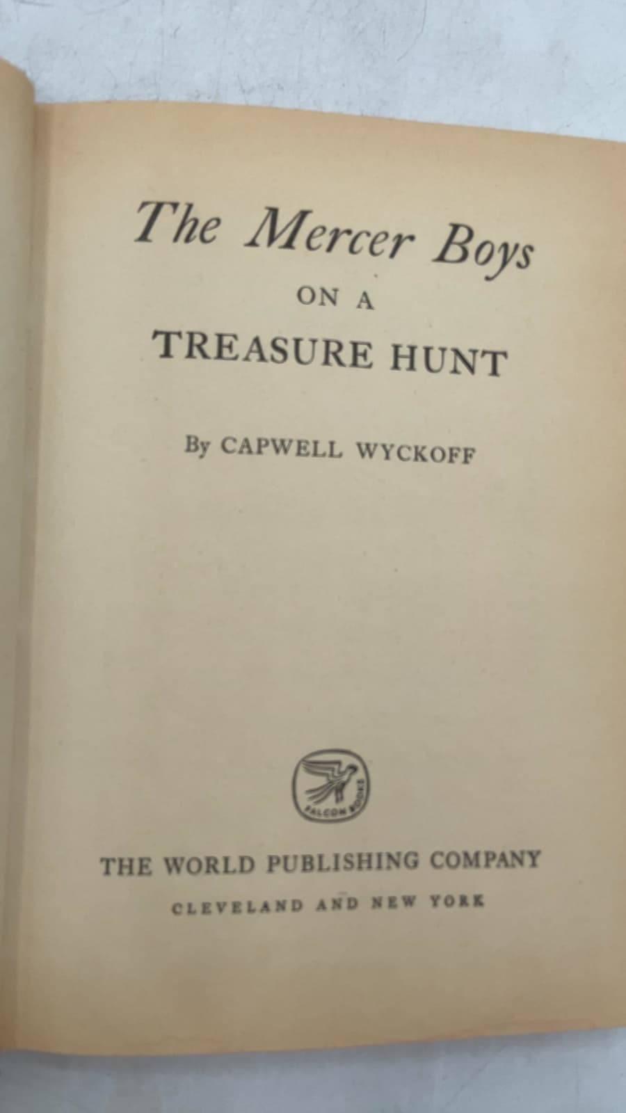 The Mercer Boys on a Treasure Hunt by Capwell Wyckoff - title page