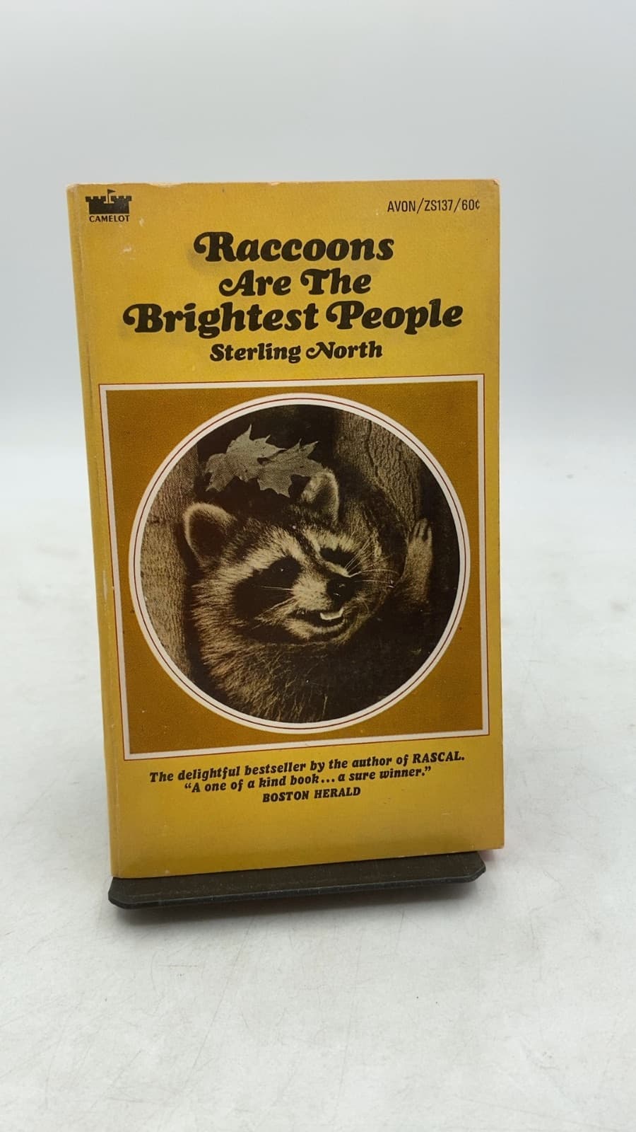 Raccoons Are The Brightest People by Sterling North - front cover