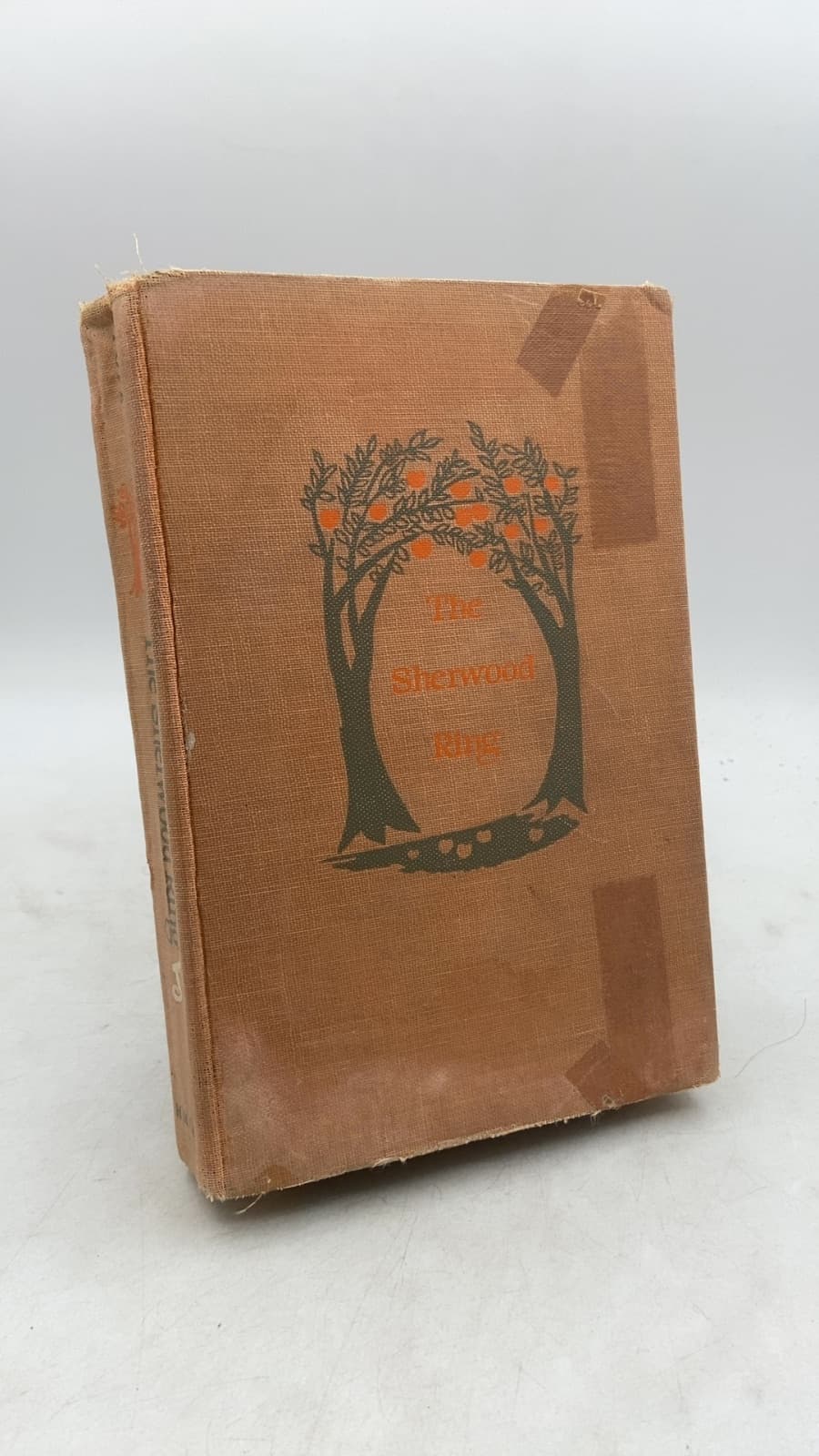 The Sherwood Ring by Elizabeth Marie Pope - front cover