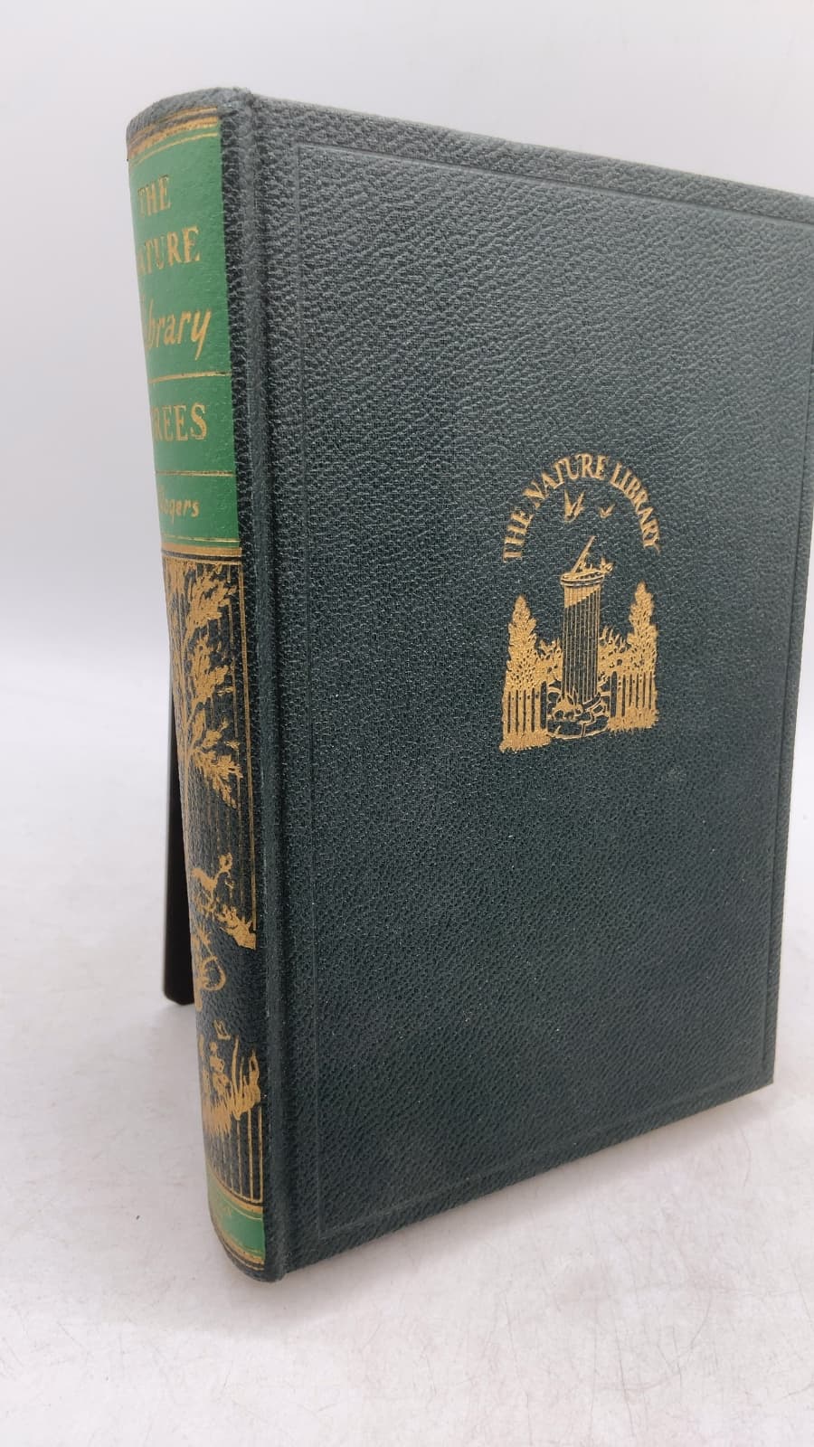 Trees by Julia Ellen Rogers - front cover