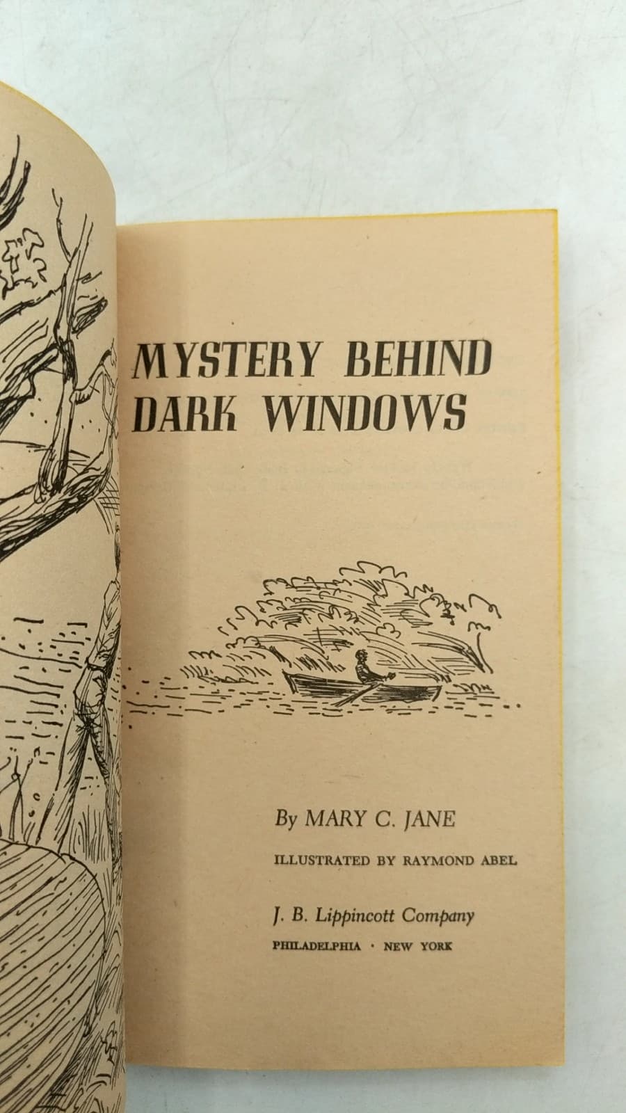 Mystery Behind Dark Windows by Mary C. Jane - title page