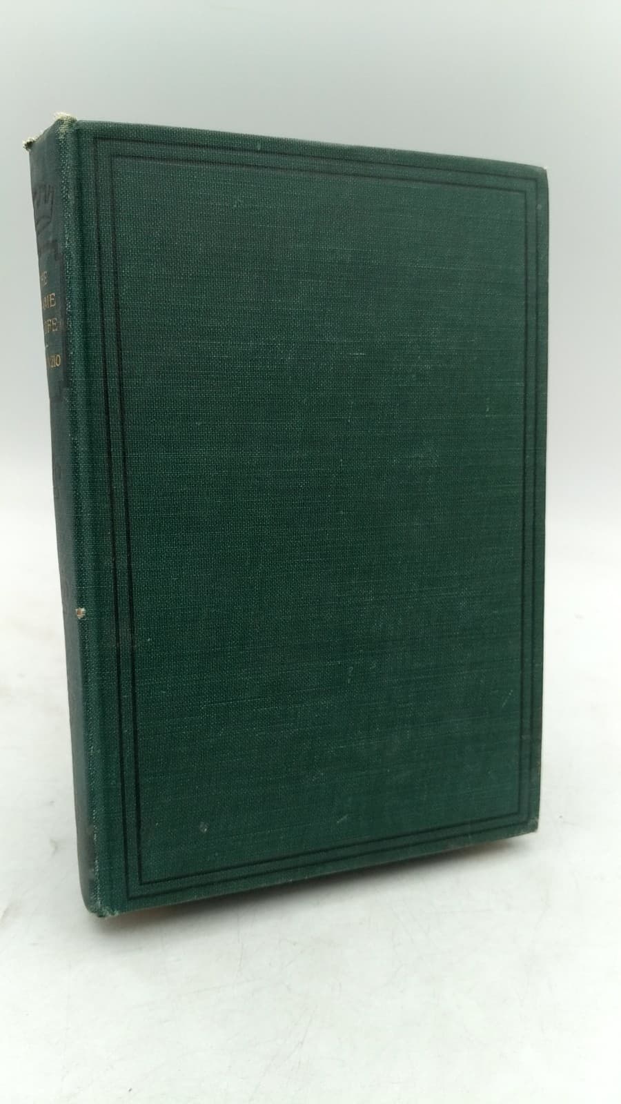 The Flame of Life by Gabriele D'Annunzio - front cover