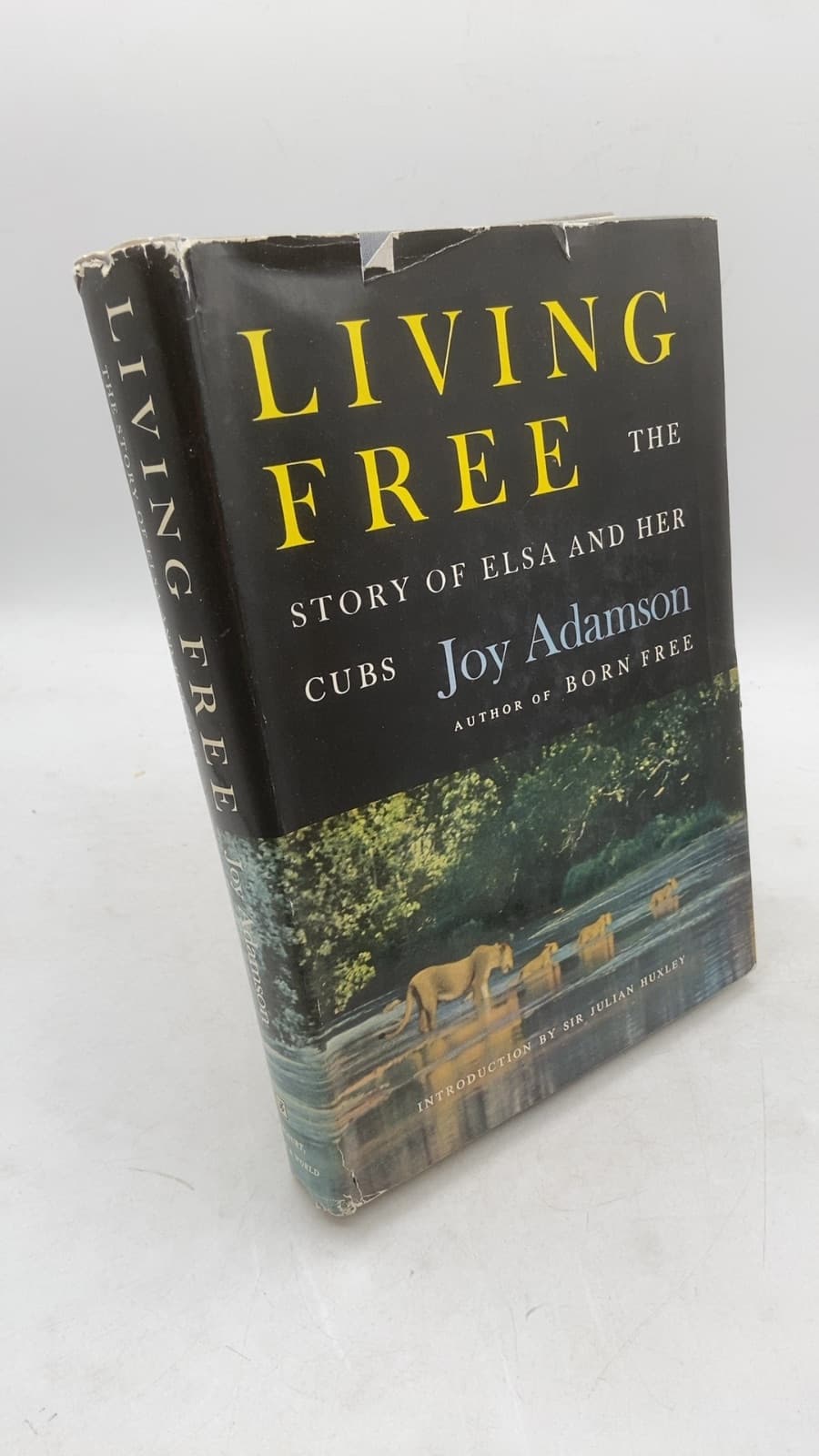 Living Free: The Story of Elsa and Her Cubs by Joy Adamson - front cover