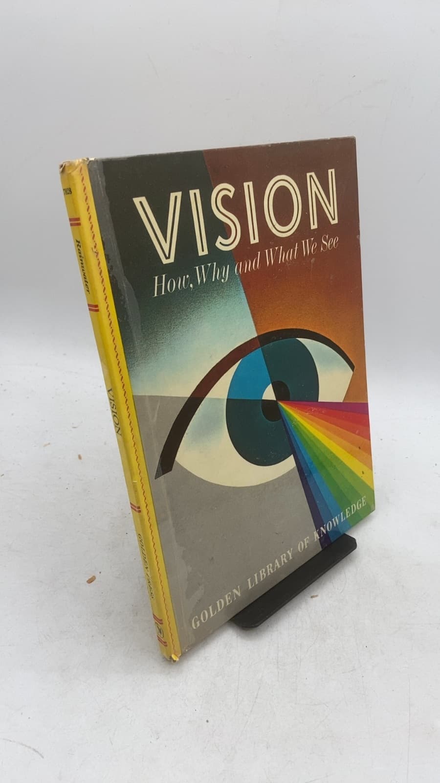 Vision: How, Why and What We See by Janette Rainwater - front cover