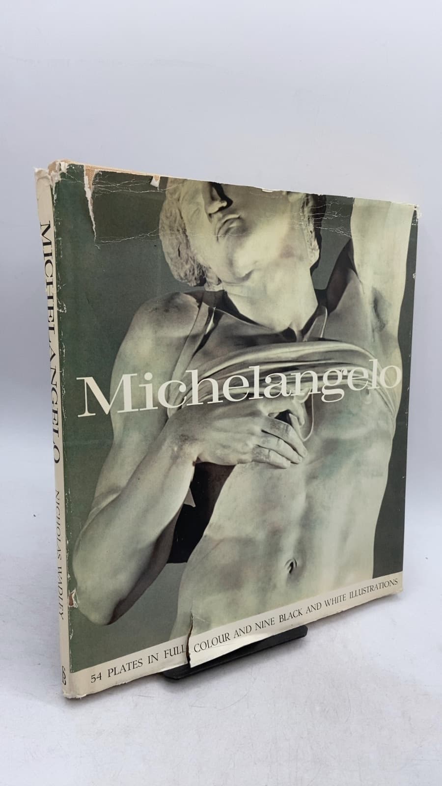 Michelangelo by Nicholas Wadley - front cover