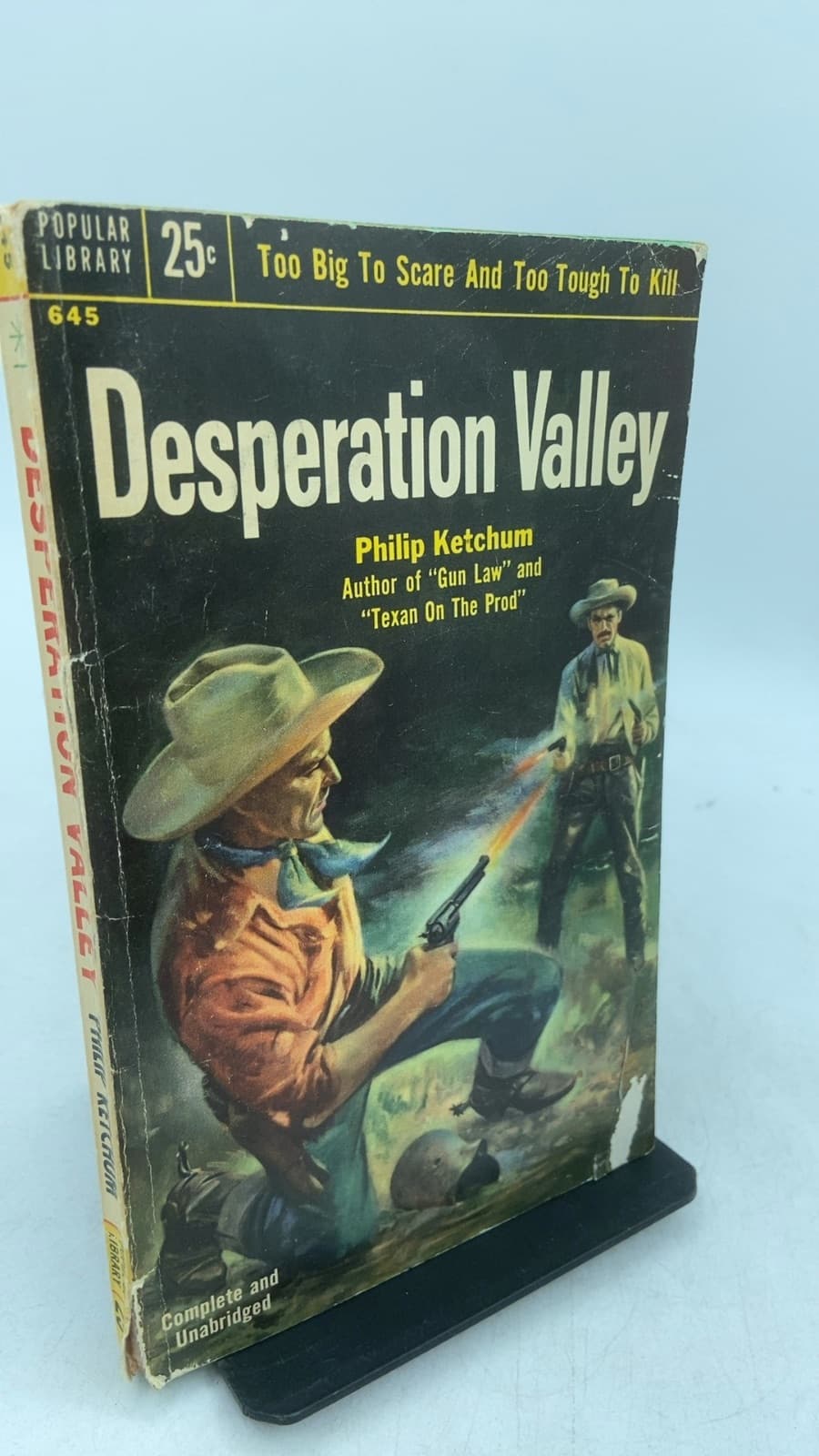 Desperation Valley by Philip Ketchum - front cover